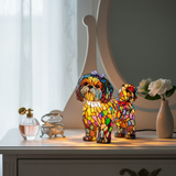 Očaravajuća Magija Princeze