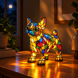 Sjajni francuski buldog
